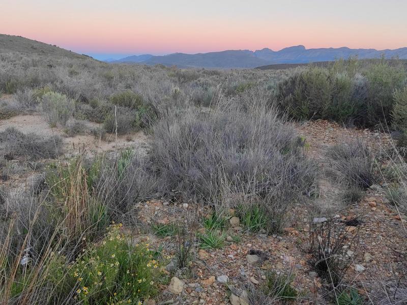 0 Bedroom Property for Sale in Montagu Rural Western Cape